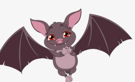 蝙蝠會咬人,想知道蝙蝠會咬人嗎圖3