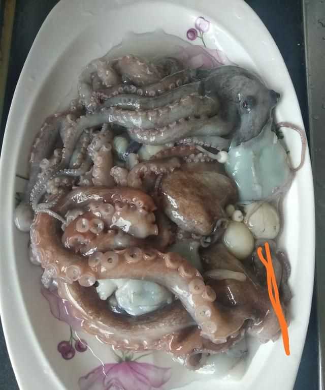 八爪魚(yú)的哪些部位不能吃
，八爪魚(yú)怎么吃好吃？哪里不能吃？圖3