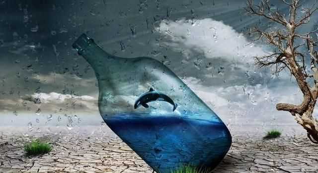 為什么說水是生命之源，人為什么說水是生命之源？圖1