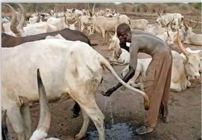 為什么說水是生命之源，人為什么說水是生命之源？圖5