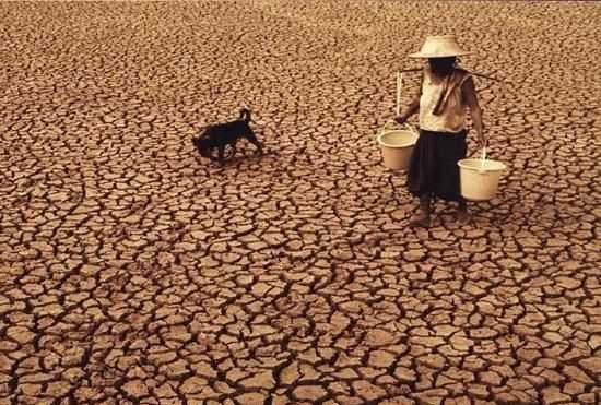 為什么說水是生命之源，人為什么說水是生命之源？圖6