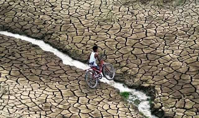 為什么說水是生命之源，人為什么說水是生命之源？圖9