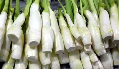 茭白發(fā)綠了還能吃嗎，茭白的葉子可以剪掉嗎？圖9