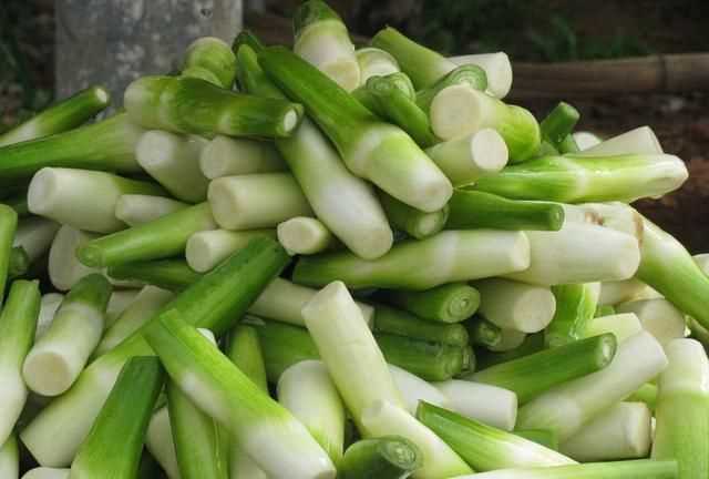 茭白發(fā)綠了還能吃嗎，茭白的葉子可以剪掉嗎？圖10