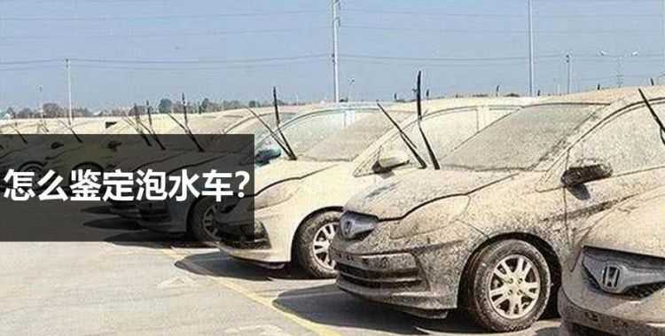 怎么樣去除車里的霉味