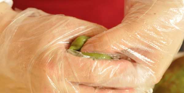 做清明團(tuán)子用什么草,做清明團(tuán)的植物叫什么圖9