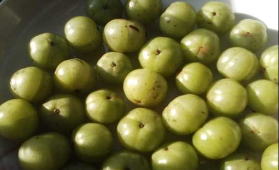 橄欖果怎么吃,橄欖果的正確食用方法需要去皮嗎圖2