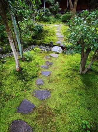 院子里青苔怎么清除 院子里青苔的解決方法視頻