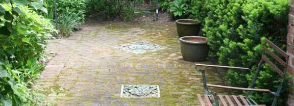 院子里長青苔怎么去除,院子里青苔怎么清除 院子里青苔的解決方法視頻圖2