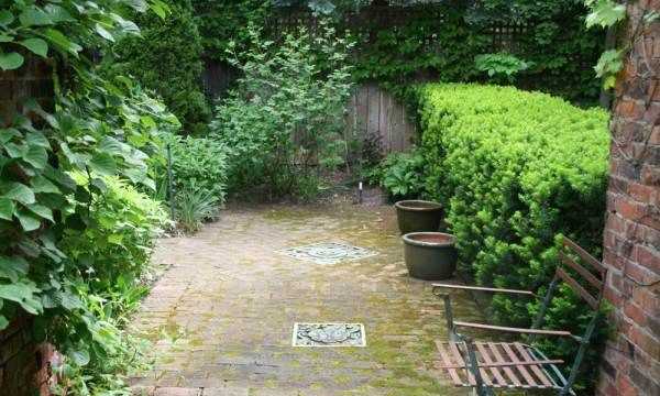 院子里長青苔怎么去除,院子里青苔怎么清除 院子里青苔的解決方法視頻圖5