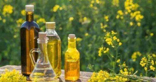 過期的油能吃沒拆封,過期的食用油沒有開封還可以用嗎圖2