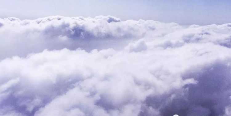 蒼茫云海間的上一句是什么