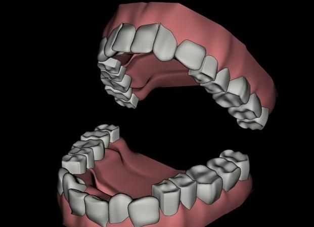 古代對牙和齒的定義稱謂