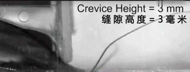 蟑螂多久會餓死，怎么才能切斷家里的水源徹底讓蟑螂餓死？圖9