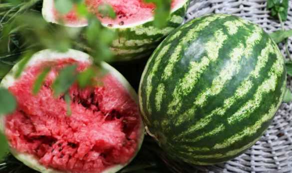 怎么分辨西瓜有沒有成熟,瓜農(nóng)怎么辨別西瓜是否成熟圖1