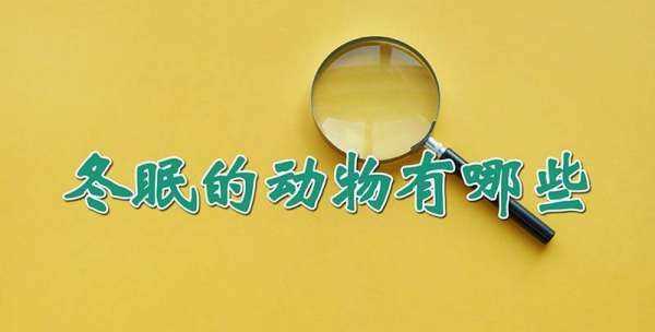 冬眠的動物都有哪些,冬眠的動物有哪些冬眠的動物有哪些圖4