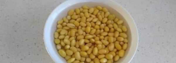 泡好的黃豆可以放幾天,黃豆水能存放多久變質 泡好的黃豆可以放幾天呢圖1