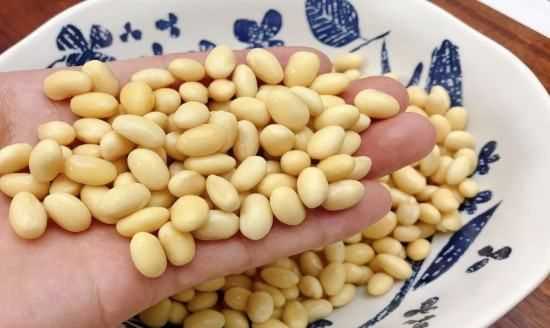 泡好的黃豆可以放幾天,黃豆水能存放多久變質 泡好的黃豆可以放幾天呢圖2