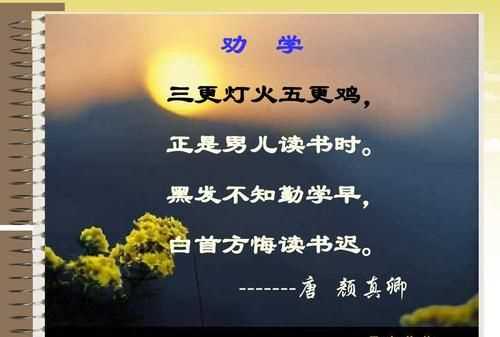 白首方悔讀書遲上一句是什么意思