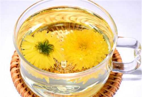 菊花茶隔夜可以喝嗎,過夜的菊花茶還能喝