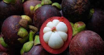 山竹果肉上的黃東西是什么能吃,山竹里面的黃色東西是什么可以吃嗎圖4