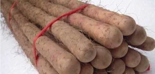 如何挑選好品質(zhì)的山藥，如何挑選山藥的好壞？圖9