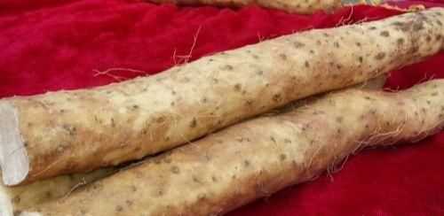 如何挑選好品質(zhì)的山藥，如何挑選山藥的好壞？圖10