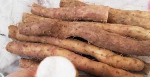 如何挑選好品質(zhì)的山藥，如何挑選山藥的好壞？圖13