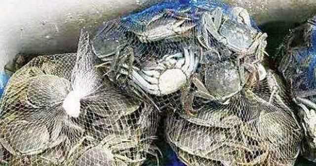 熟螃蟹冷凍能放多久，螃蟹煮熟后冷凍能保存多久？圖4