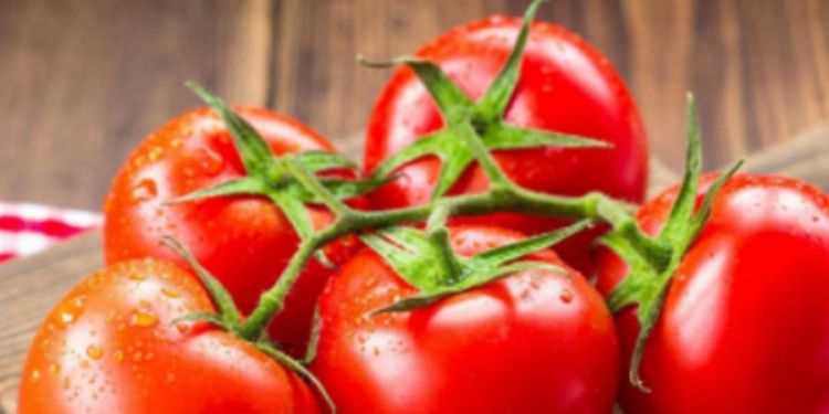 夏天的蔬菜有哪些應(yīng)季的