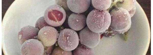 葡萄上有凸起的小點點可以吃,葡萄上有凸起的小點點可以吃嗎圖1