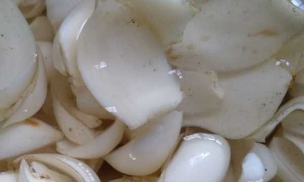 新鮮百合能直接曬干,百合花苞發(fā)干為什么呢圖5