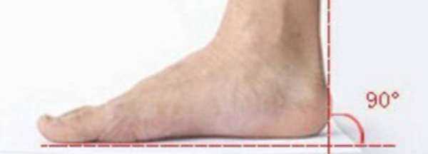 怎么確定自己腳的碼數,怎么知道自己是什么星座圖10