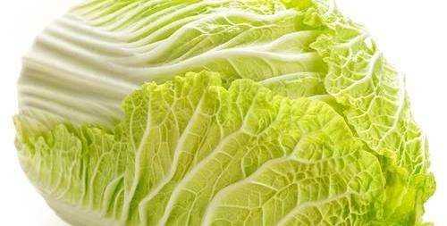 白菜每層都有黑點點是什么,白菜上的小黑點到底是什么東西圖5