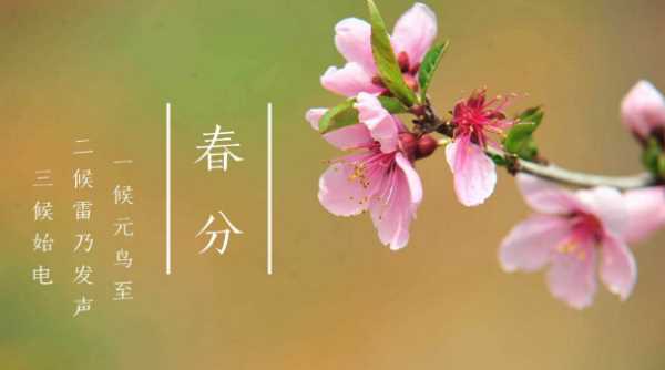 春分天氣就開始變暖了,天氣什么時候開始變暖2022圖4