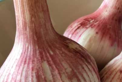 腌的糖蒜有點辣怎么補救,糖醋蒜幾個月了還是辣怎么辦圖1