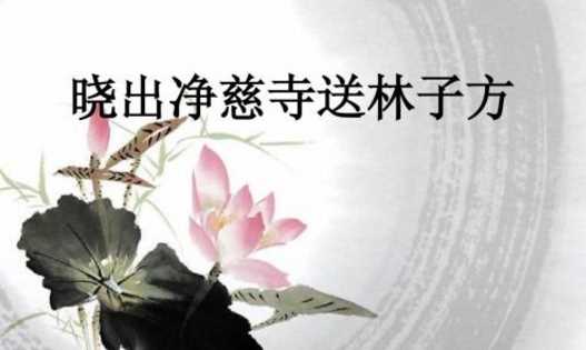 接天蓮葉無窮碧的下一句,接天蓮葉無窮碧下一句是什么圖2