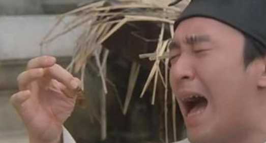 蟑螂存在的意義,夢見蒼蠅和蟑螂是什么意思圖6