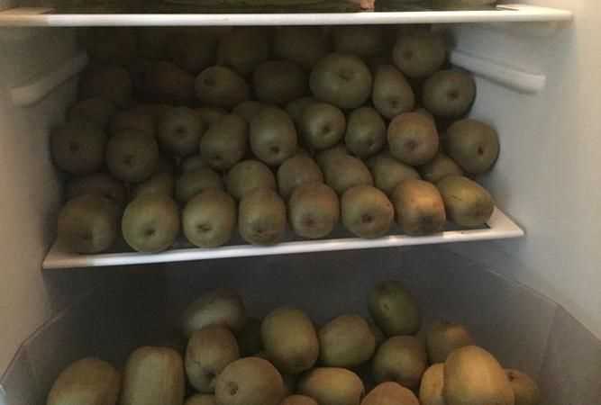 獼猴桃能放冰箱里保存嗎