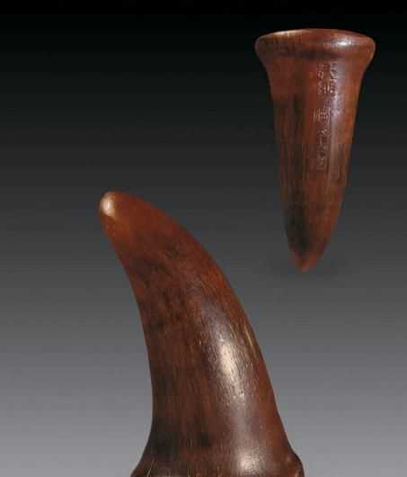 犀牛頭上有多少只角