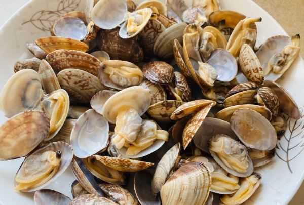 爆炒花甲的做法,爆炒花甲做法圖4