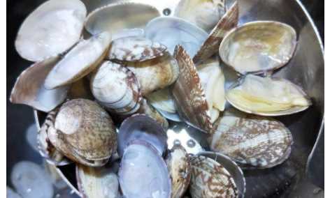 爆炒花甲的做法,爆炒花甲做法圖20