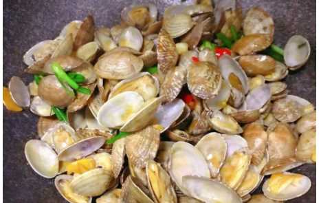 爆炒花甲的做法,爆炒花甲做法圖22