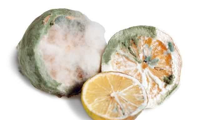 冰箱發(fā)霉的東西用什么洗才能干凈