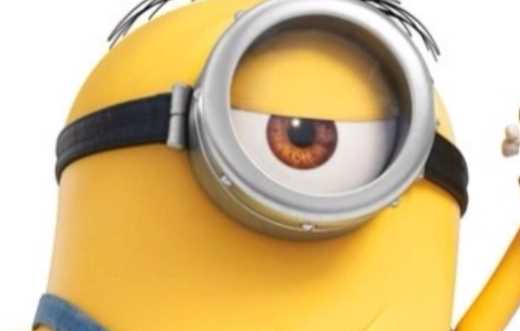 3個小黃人分別叫什么,《神偷奶爸》三個小黃人分別叫什么名字啊圖6