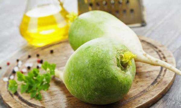 樓房怎樣儲存大蘿卜,在北方冬天樓房怎么儲存蘿卜圖7