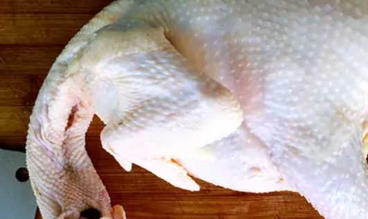 老母雞湯怎么燉,燉老母雞湯怎么燉圖2