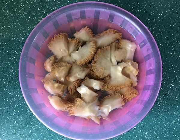 猴頭蘑菇怎么做法怎么吃,猴頭菇怎么做好吃圖10