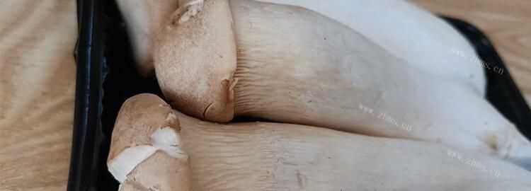 杏鮑菇有點爛了能吃嗎