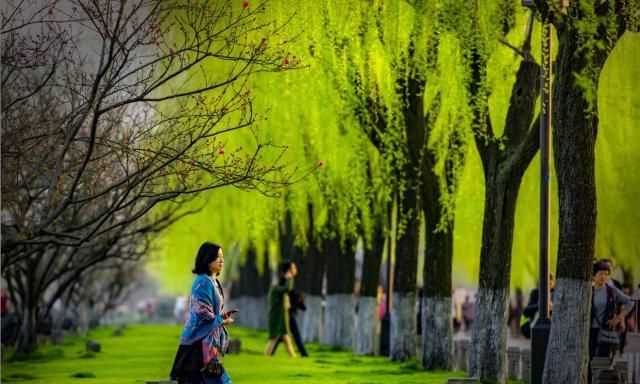含苞欲放百花爭(zhēng)艷花紅柳綠春色滿園是什么季節(jié)